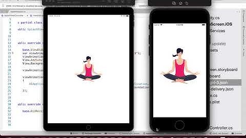 iOS Splash Screen Demo
