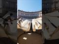 The Colosseum of Rome — reborn with AI! 🏛️⚔️Step inside the most legendary arena in history. #Shorts