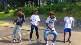 New Ethiopian Vine 2019