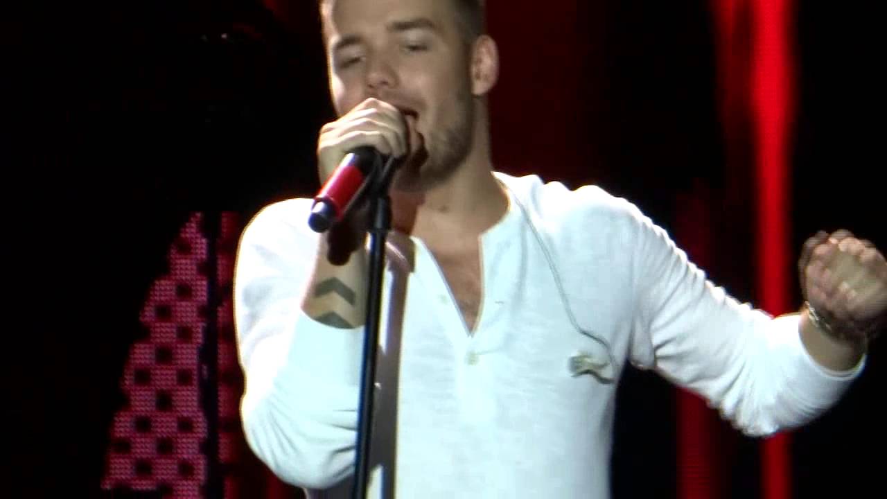 One Direction - Metlife Stadium - Through the Dark