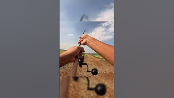 Câu cá mập chưa là gì nay LK Hoà câu cả ô tô #lkhoa #fishing #fish #shorts #car