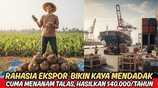 Begini Rahasia Ekspor yang Bikin Kaya Mendadak‼️ Cuma Tanam Talas Bisa Hasilkan Puluhan Ribu Dolar‼️