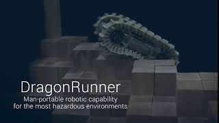 DragonRunner
