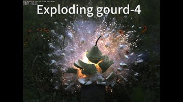 Exploding gourd-4 high-speed camera video