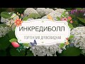 Гортензия Инкредиболл (Incrediball)