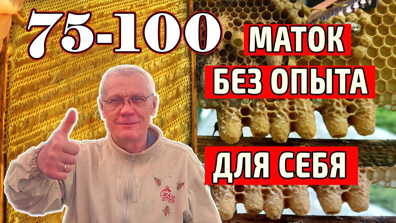 Самый простой способ вывода маток. Метод Дж. Хопкинса.