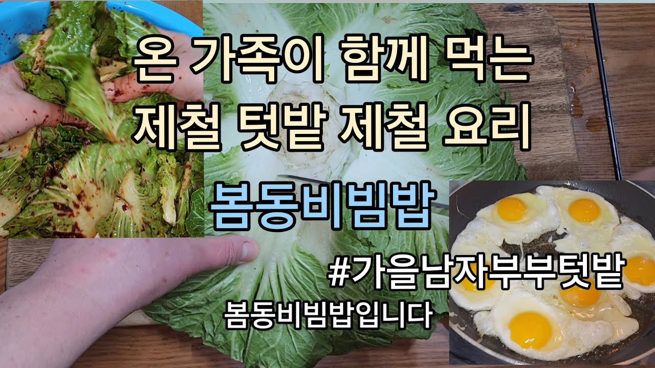봄동배추 비빔밥 제철 최고