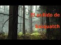 El aullido de Sasquatch