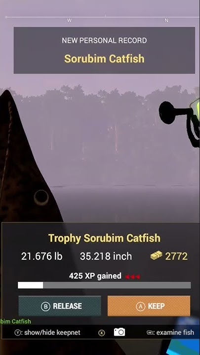 Fishing Planet Trophy Sorubim Catfish - YouTube