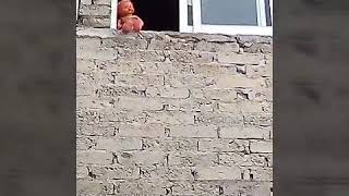 Actividad Paranormal Nenuco Parte 2 Esclofriante