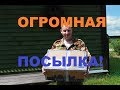 Огромная посылка от зрителя !/Жить в деревне.