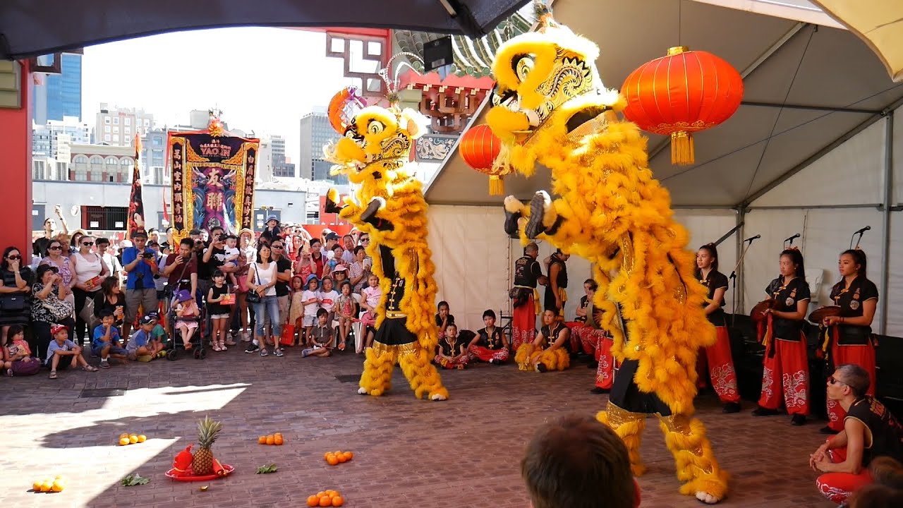 2016 Perth CNY Festival Lion Dance Part 12 Yaolin Kung Fu Association