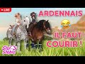  les ardennais ont besoin de sentraner  dressage cachecache  star stable live