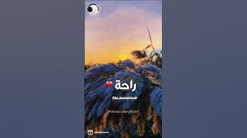 ارح قلبك ❤️  للقارئ salah gnoun
