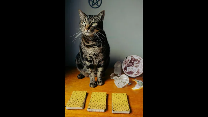 Collective Tarot Reading ✨💫✨🔮✨🧿✨ #tarot #oracle #tarotreading