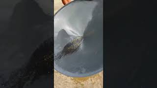 Gold panning #goldhunt