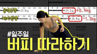 근육업, 지방만 빠지는 버피루틴! 집에서 러닝머신 없이 유산소 하세요💪