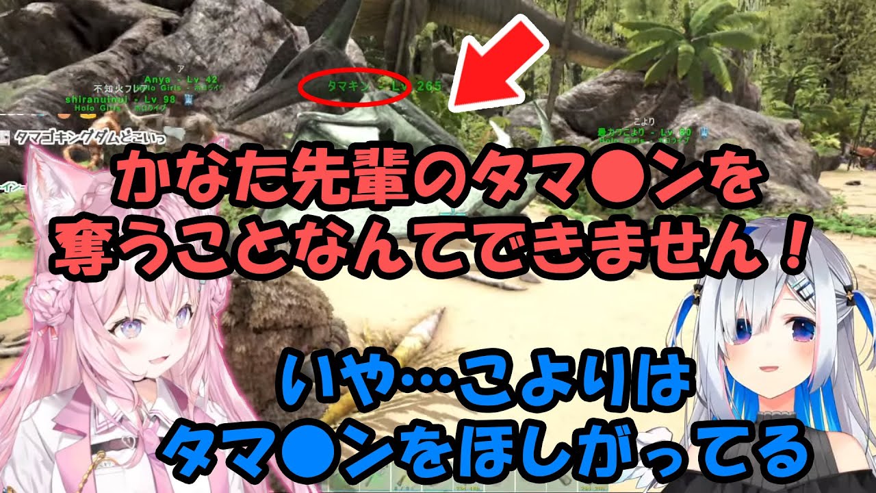 タマ●ンを押し付け合うかなたとこより【天音かなた/博衣こより/ホロライブ】