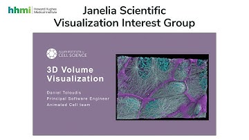 Sci Viz 2022-02-03: AGAVE 3d pathtrace image viewer (Dan Toloudis)