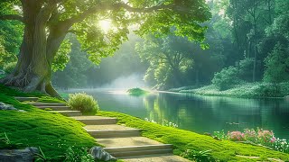 All your worries will disappear if you listen to this music🌿 Relaxing music calms the nerves by Enjoy Life 4,061 views 3 weeks ago 3 hours, 29 minutes