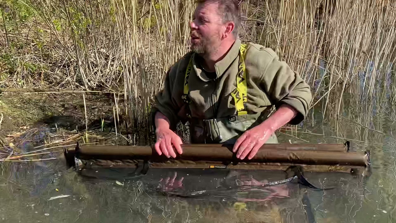 Bluebell lakes , Sandmartin Red dog 42lb Common  Mark Robinson , caught on Munch Bait