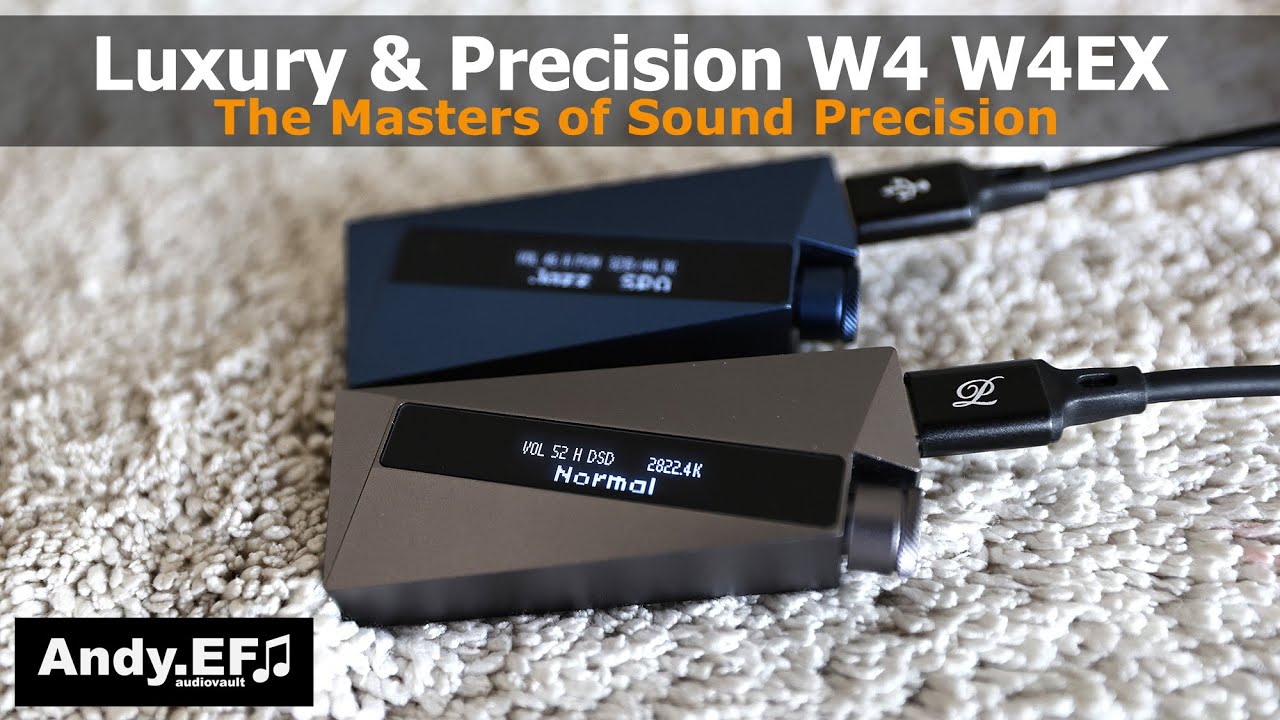 LUXURY & PRECISION W4 本革ケース付き（Luxury & Precision 詰め W4 