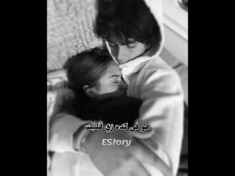 حالة واتس انت يالي خدت قلبي Whatsapp Status You Took My Heart تامر عاشور Tamer Ashour