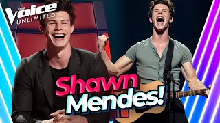 Top 6 Gorgeous SHAWN MENDES Covers on The Voice!