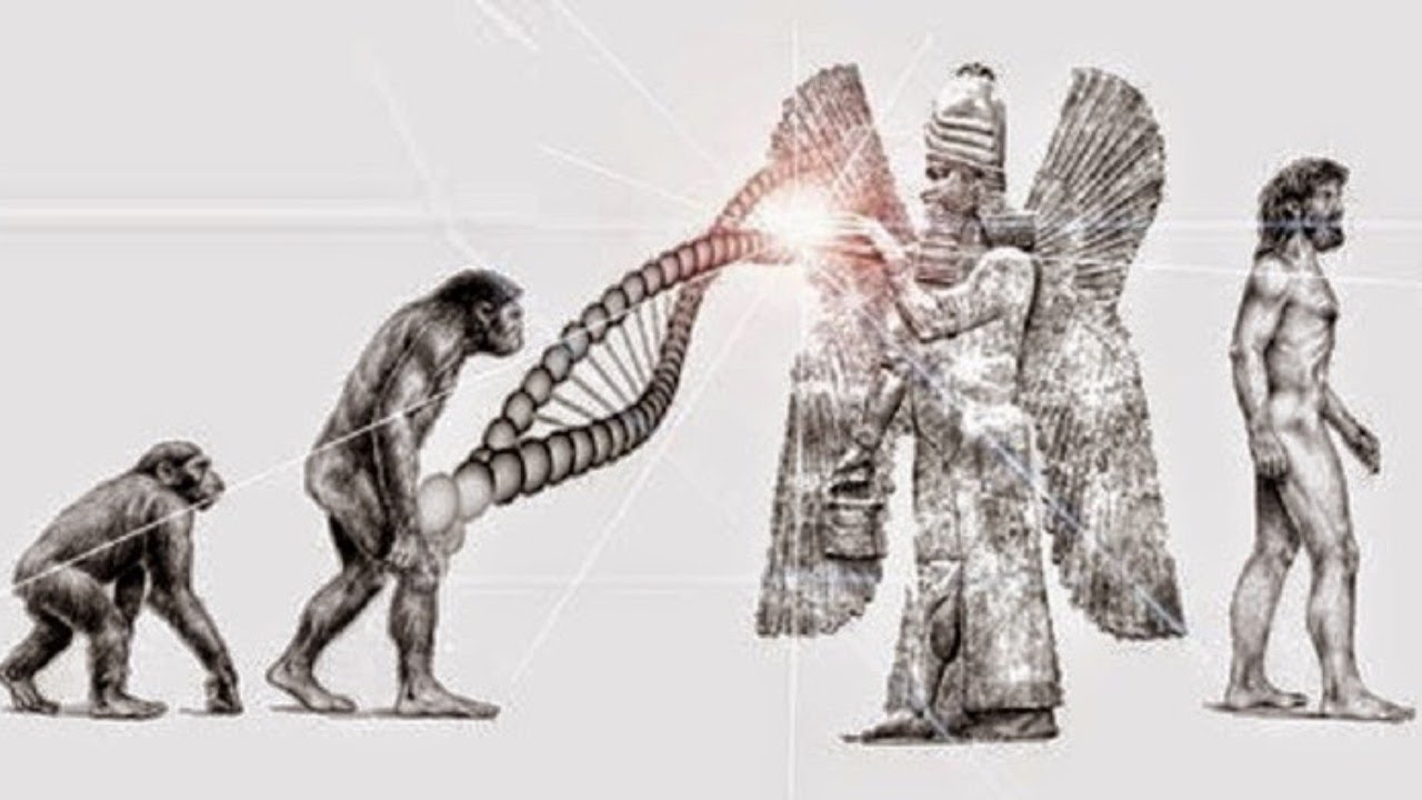 Que Exemplos Na Historia Da Humanidade Ja Foram Vivenciados