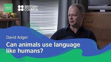 Animals and Human Communication — David Adger / Serious Science