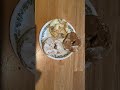 #bagel #scrambledegg #peanutbutter #breakfast #like #subscribe @eliteacollection