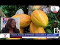POSSIBLE, BUSINESS ENTREPRISES CONGOLAISES ET  AMERICAINES ?