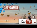 Cat tv  butterflies  bugs  cat games 4k s for cats  