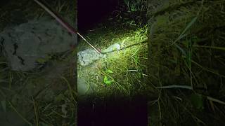 Night Fishing Traditional Fishing Part6