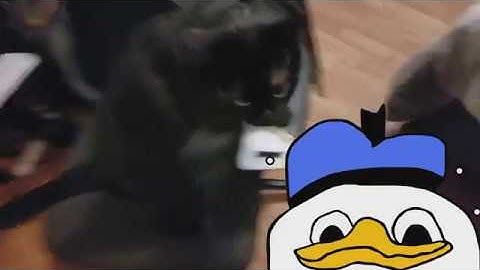 techno shiv [P4wnPi]