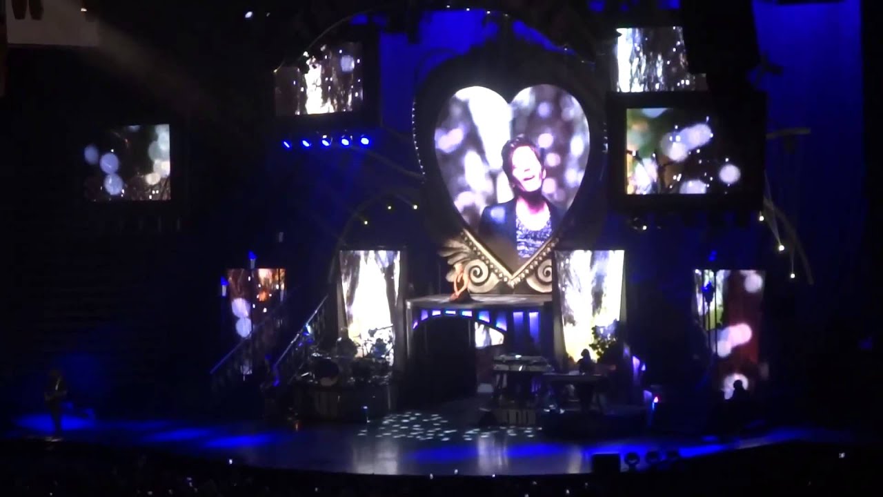 P!nk -- The Truth About Love Tour -- Jan. 2014, Salt Lake City, UT