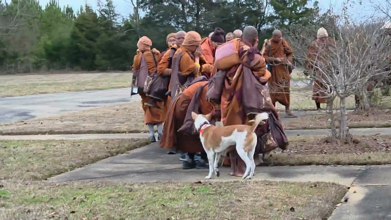 Dec 22nd, 2025; Walk For Peace by Buddhist Monks in USA, walk toward Capitol of Alabama, Montgomery