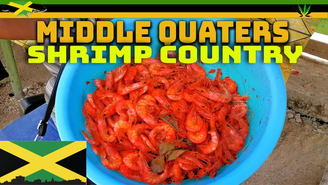 Middle Quarters Pepper Shrimp St Elizabeth Jamaica YouTube