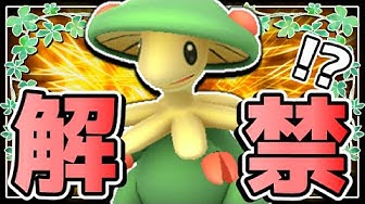 キノガッサ Youtube