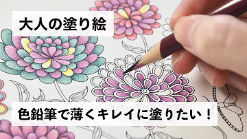 花の色鉛筆色塗り