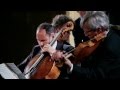 Rome Chamber Music Festival 2013 - Trailer