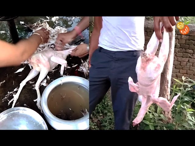 Country Chicken Curry in my Village - Spicy Indian Recipe | Food Fatafat