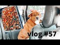 ANOTHER WEEK IN MY LIFE! | VLOG #57 | Taren Denise