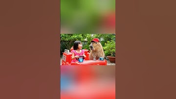 Bé lái xe cứu hỏa cùng Capy đi giải cứu đám cháy #capybara