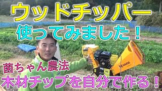 (2/25で終了)木材チッパー　農用さい断機（モーターカスタム品）四国製作所　CS 170 木材チッパー 農用さい断機（モーターカスタム品）四国製作所 CS 170