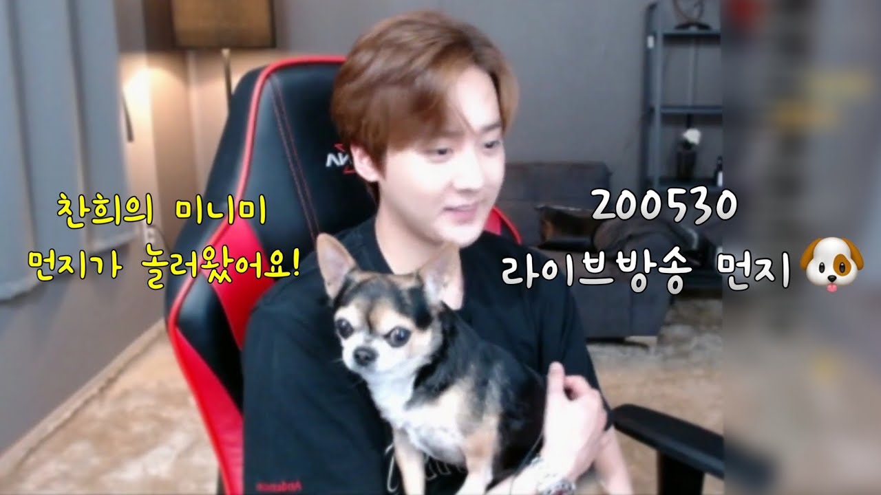 [틴탑 천지] 200530 찬희가 먼지를 데리고 왔어요(꿀떨어짐 주의!!) + 10주년 스케줄?(자막판)