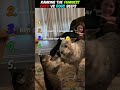 Ranking the Funniest Cat vs Dog BEEFS 😭 #shorts