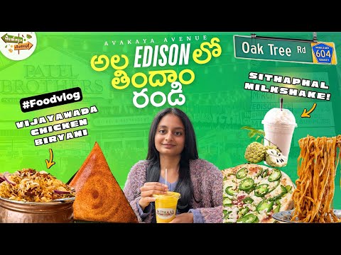 Exploring Indian Street Food in Edison New Jersey It's like Indiausateluguvlogs foodvlog