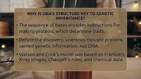 Why Is DNA