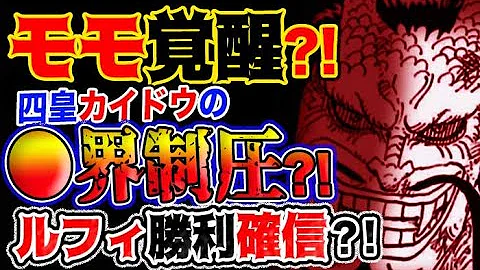 ワンピース ネタバレ0 ワンピース ネタバレ0